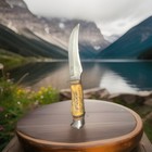 G.C.Co. Solingen  German Hunting Fixed Blade Knife bone Handle 1966” 496” — photo 3