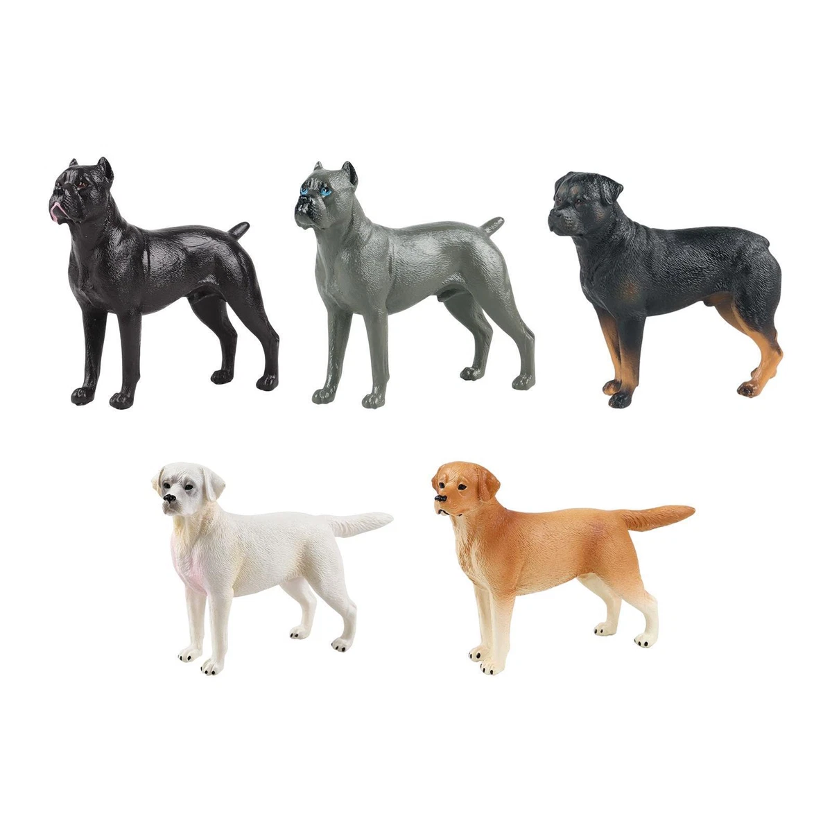 Educational top dog toys