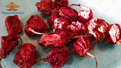 20 DRIED CAROLINA REAPER Pods - WORLDS HOTTEST CHILE PEPPER - Super Hot Quality