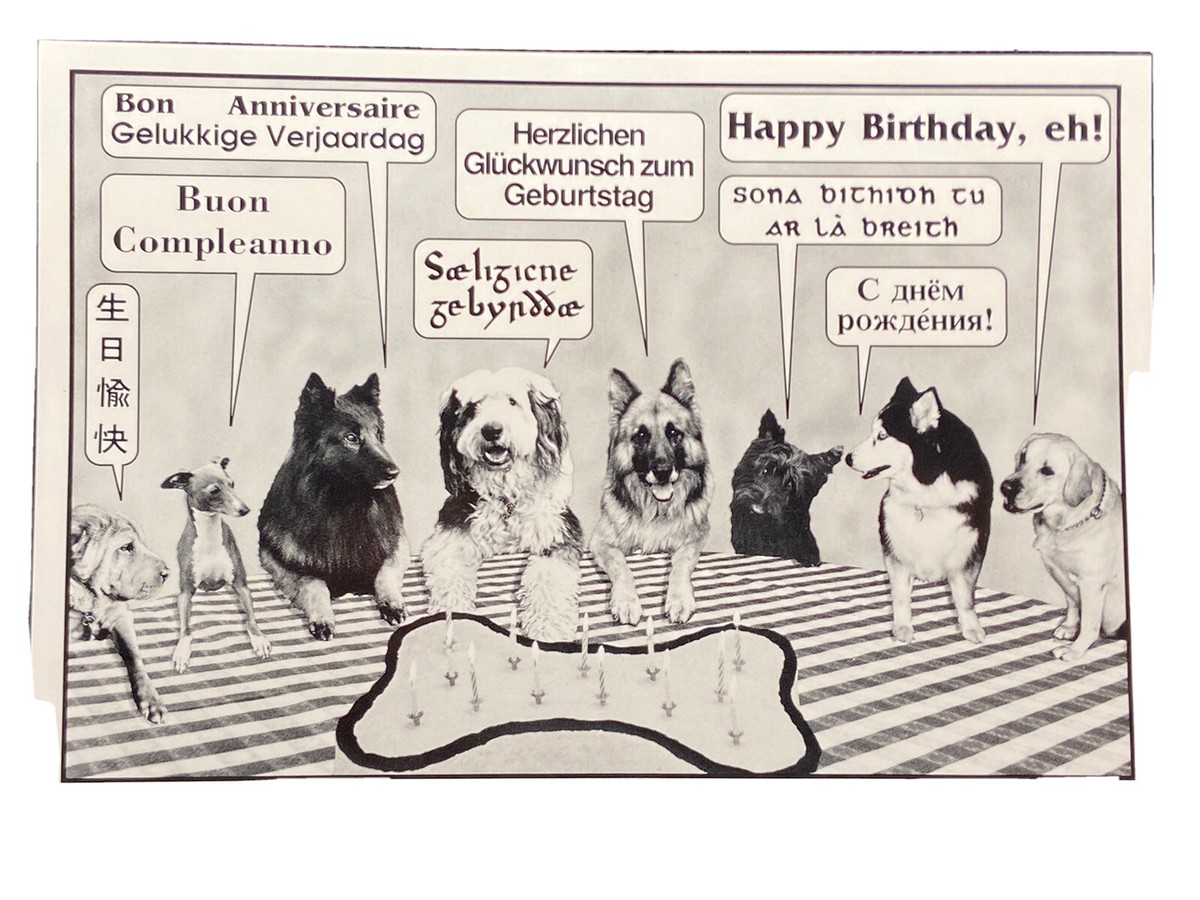 Peachy Antics Geburtstagskarte Für Hunde – 'Happy Birthday To The Best Dog', A5, Persönlich Beschriftbar