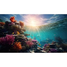Deep Ocean Fish Tank Background Under The Sea Soft Coral Reef Aquarium Backgr...