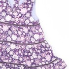 Foto 10 di 12