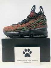 grade school lebron 15