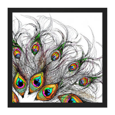 Abstract Peacock Feather Pen Ink Drawing Square Frame Print Picture Wall Art