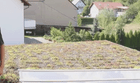 Bild 8 von 10