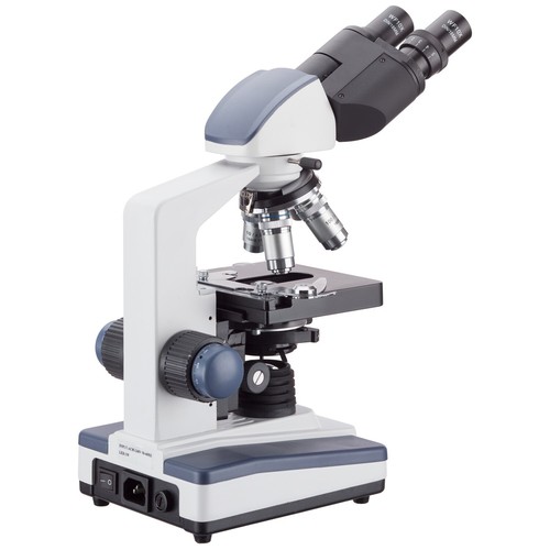Microscopio compuesto digital binocular LED AmScope 40X-2000X y cámara USB3 de 18 MP - Imagen 12 de 14
