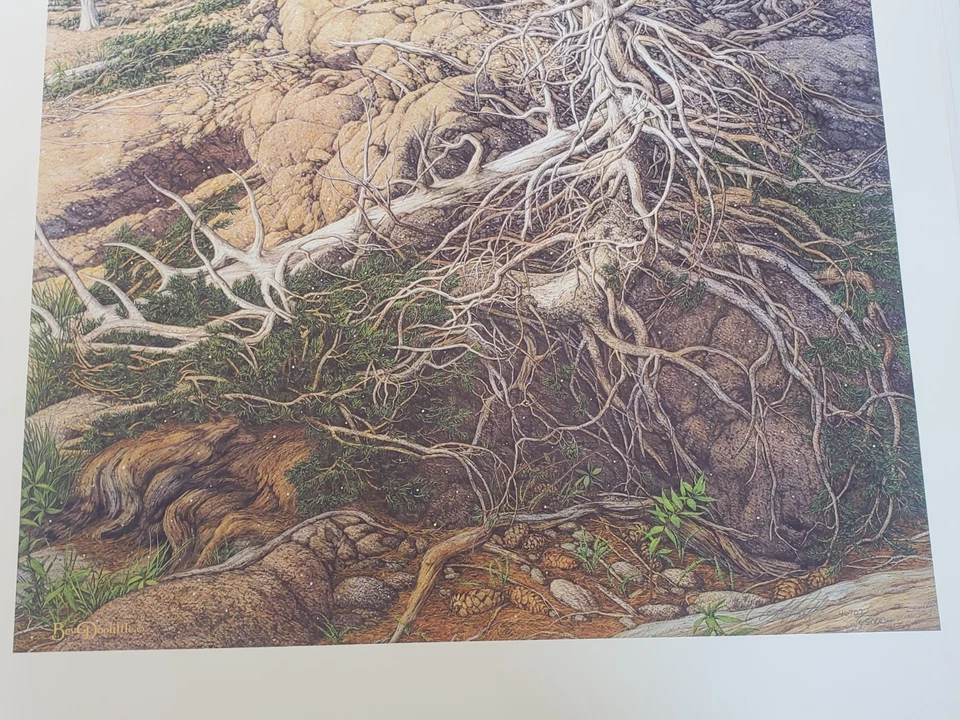 Litografia Bev Doolittle Prayer for the Wild Things assinada Lim Ed #46707/65000 - Imagem 4 de 4