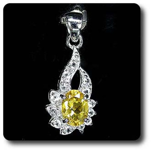 Bouchon fermeture poignée lave-vaisselle Winterhalter 61004866 Bouchon fermeture poignée lave-vaisselle Winterhalter 61004866