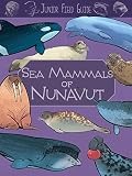 Junior Field Guide : Sea Mammals of Nunavut by Jordan Hoffman (2023, Trade ...
