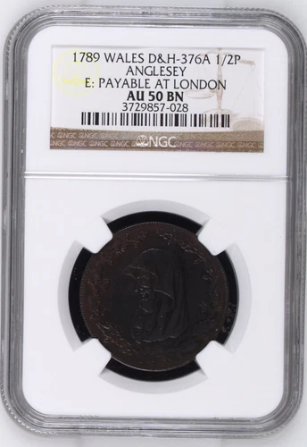 GREAT BRITAIN Wales Anglesey 1789 Halfpenny Conder Token D&H-376A NGC AU50