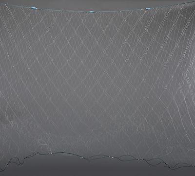 6'*100' Fishing Net Nylon Monofilament Gill Net with Float Fish Trap 4/5'' Net