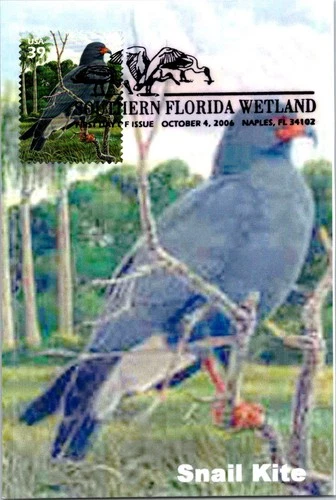 Dr Jim Stamps Maximum Card 39c Southern Florida Wetland Snail Kite First Day