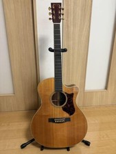 Electric Acoustic Guitar Martin & Co. GPCPA Series Natural