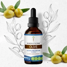 Secrets Of The Tribe Olive Tincture Alcohol-FREE