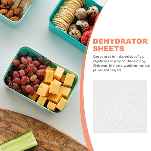2 Pcs Dehydrator Mats Food Silicone Drying Pad Baby for Jerky Dryer Pads Fruit