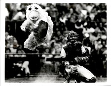 GA351 1981 Orig Photo SAN DIEGO CHICKEN DANCING AT CROCKETT PARK PADRES ORIOLES