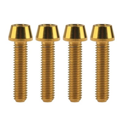 Titanium Ti M6 x 10 16 18 20 25 30 35 40 45 50 55 60 65mm Allen Hex Screw Soc...