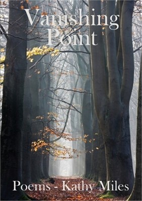 Vanishing Point (Paperback or Softback)