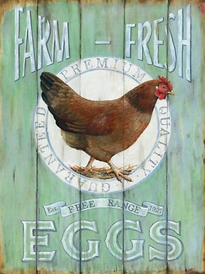 Blechschild 30x40 Huhn Farm fresh Eggs free range Wand Deko Cafe Sammler Geschen