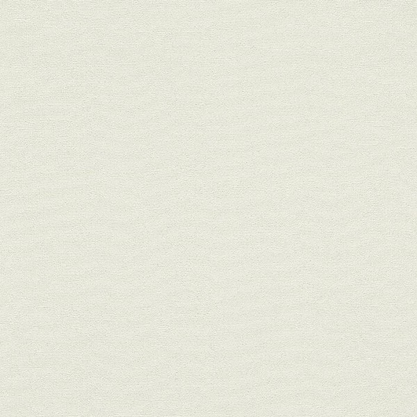 Erismann | Myself | 686201 | Vliestapete | Einfarbig | Uni | 10.05X0.53 M | Weiß-image
