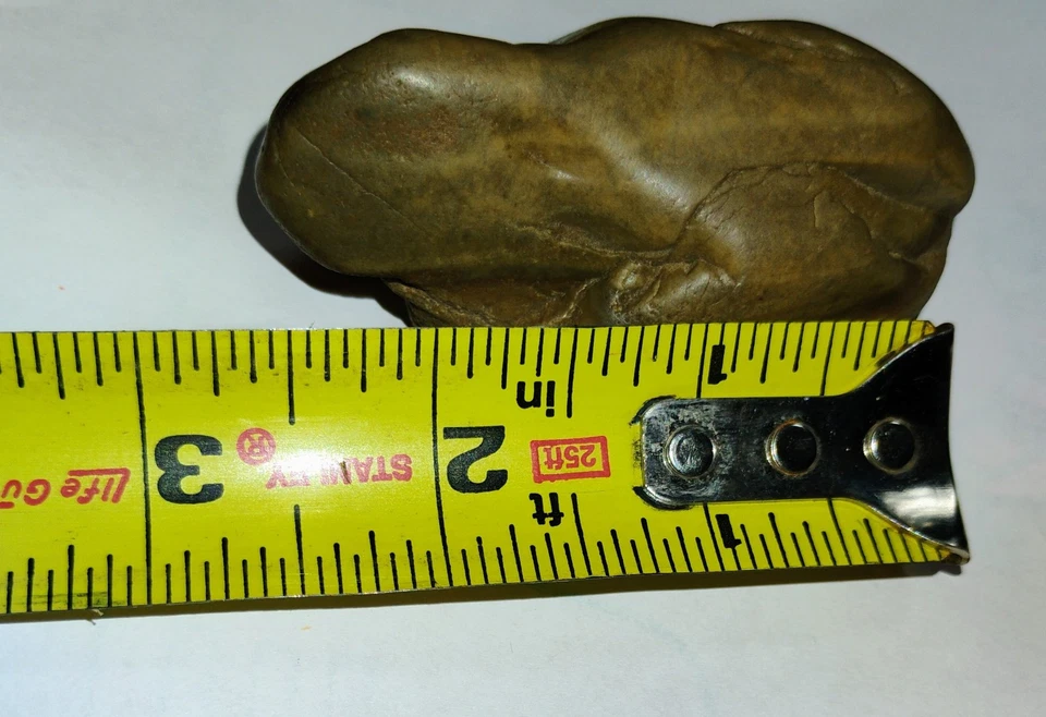 Rana nativa americana Effing del centro de Nebraska Foto 4 de 4