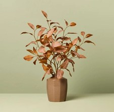 22" Rusted Eucalyptus Artificial Fall Arrangement - Hearth  Hand with Magnolia