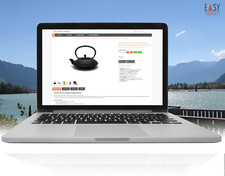 eBayvorlage 2026 inkl. Cross Seller Galerie Responsive Template Lachs Plus