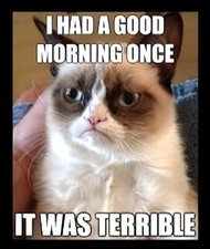 Grumpy Cat I Had A Good Morning Once It Was Terrible MAGNET