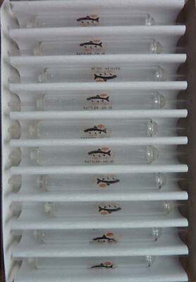 Sbirulino Truite 15g Lot 10 Lot De 10 Bombettes BERKLEY Trout Tec