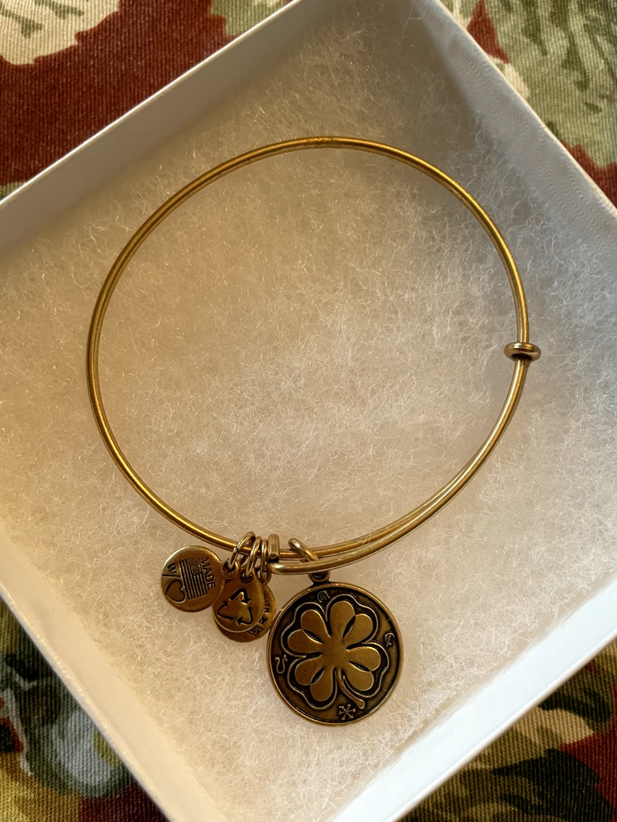 Shamrock alex shop and ani