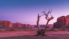 Landscape nature mountains sky usa dead trees desert Custom Gaming Mat Desk