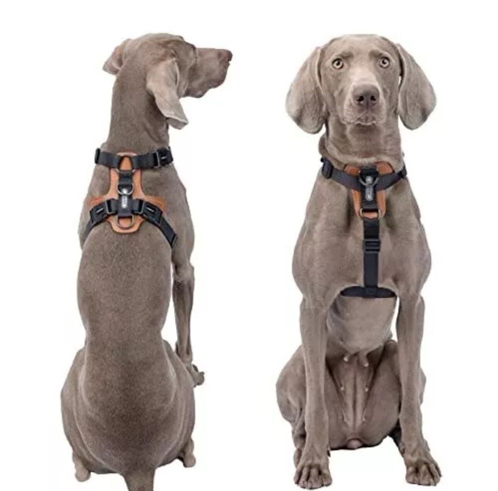 Dog Harness, no Pull Dog Harness with lesthe Pads,Ideal for Dog Medium Black
