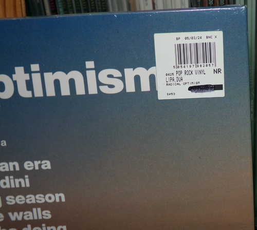 DUA LIPA RADICAL OPTIMISM SILVER LP HOUDINI TRAINING SEASON MARIA THESE WALLS - Picture 9 of 9