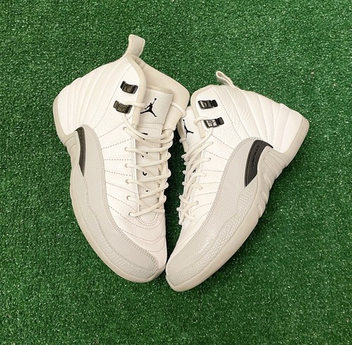 rare jordan 12s