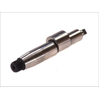Element, Common-Rail Pumpe BOSCH F 00N 200 007