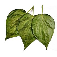 Betel Leaves ground powder Dried Organic Pipe...