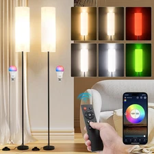 Frideko 2 Pack Floor Lamps for Living Room, Dimmable Colors Temperature & Bright