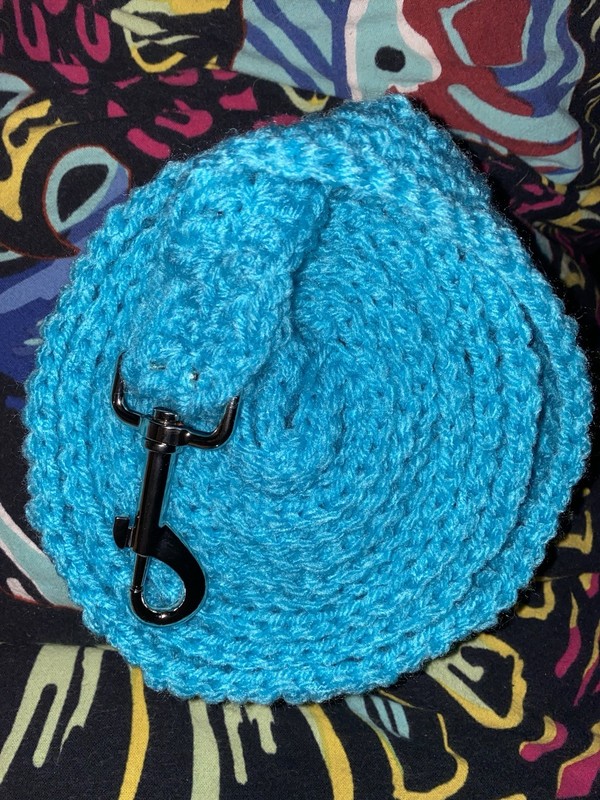 Blue Braided Crochet Dog leash with Metal Clip