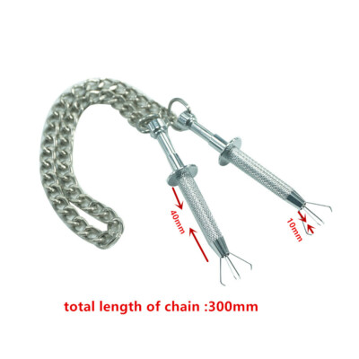 Ein Paar Edelstahl verstellbare Brustwarzenclips mit Kette Metallkralle