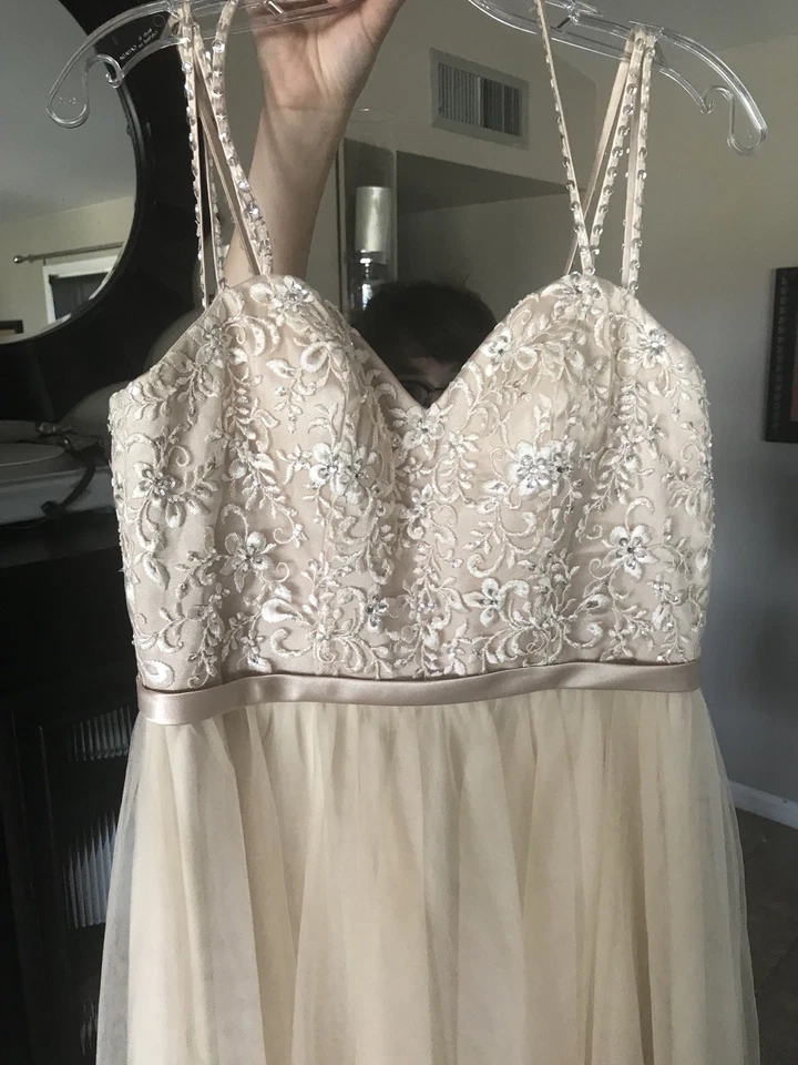 Talla 12 *Nunca Usado* Vestido de Boda Champagne Con Velo Dedo GRATIS NUEVO CON ETIQUETAS Foto 2 de 4