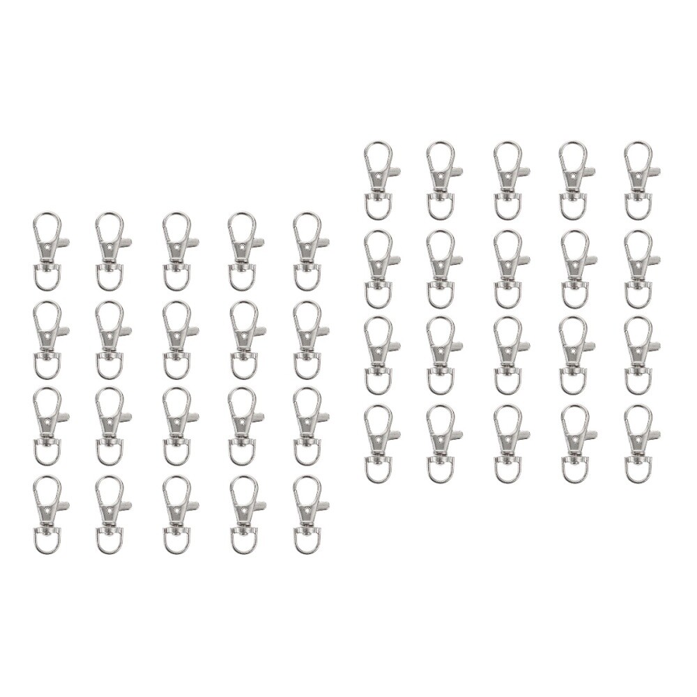 40 Pcs Stainless Steel Locks Lanyard Hooks Dog Leash Bird Cage