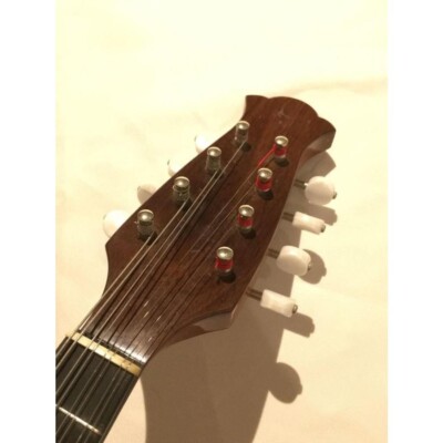 Tsuneo Fujimaru mandolin Anno2005 ikegaku Scale 13.4 in eith Hard