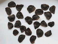 15 Organic 2025 New SEEDS: Very Beautiful Giant (Hand Big) Amaryllis Hippeastrum