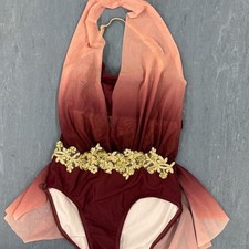 Dance Costume Pink Burgundy Ombre Leotard With Skirt Size Medium Child