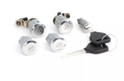 GENUINE OEM INTERNATIONAL Ignition Two Door And Two Baggage Door KEY SET Z135