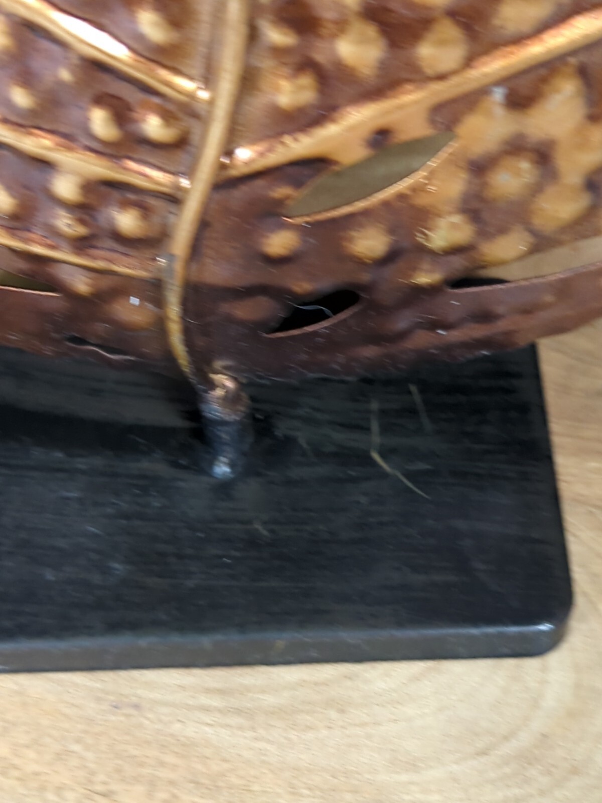 Picture 6 of 8