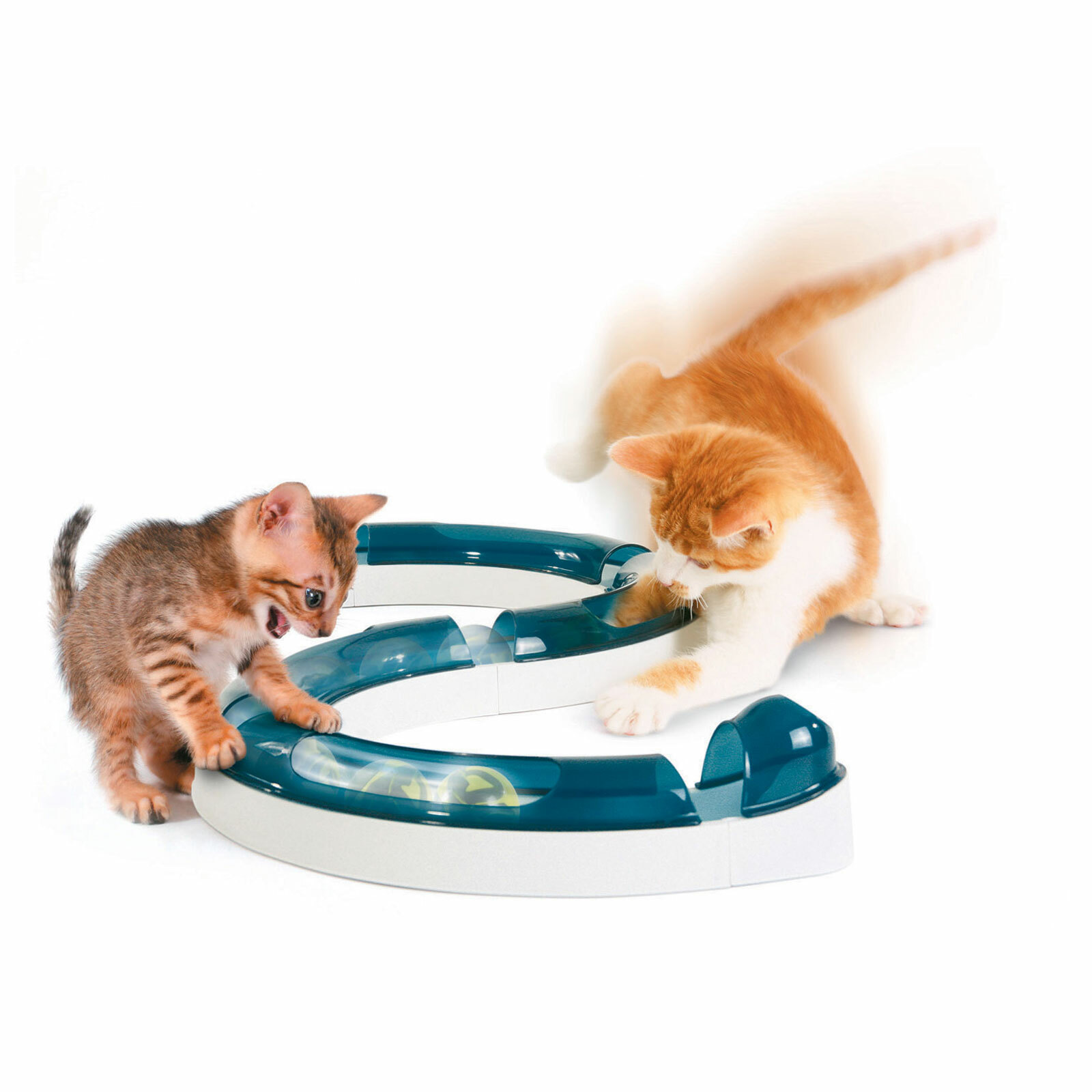 play circuit cat toy