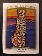 2017 Upper Deck Goodwin Champions Cheetah #25