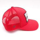 Bild 4 von 8