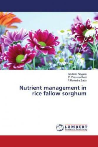Thumbnail - Nutrient Management In Rice Fallow Sorghum 3358